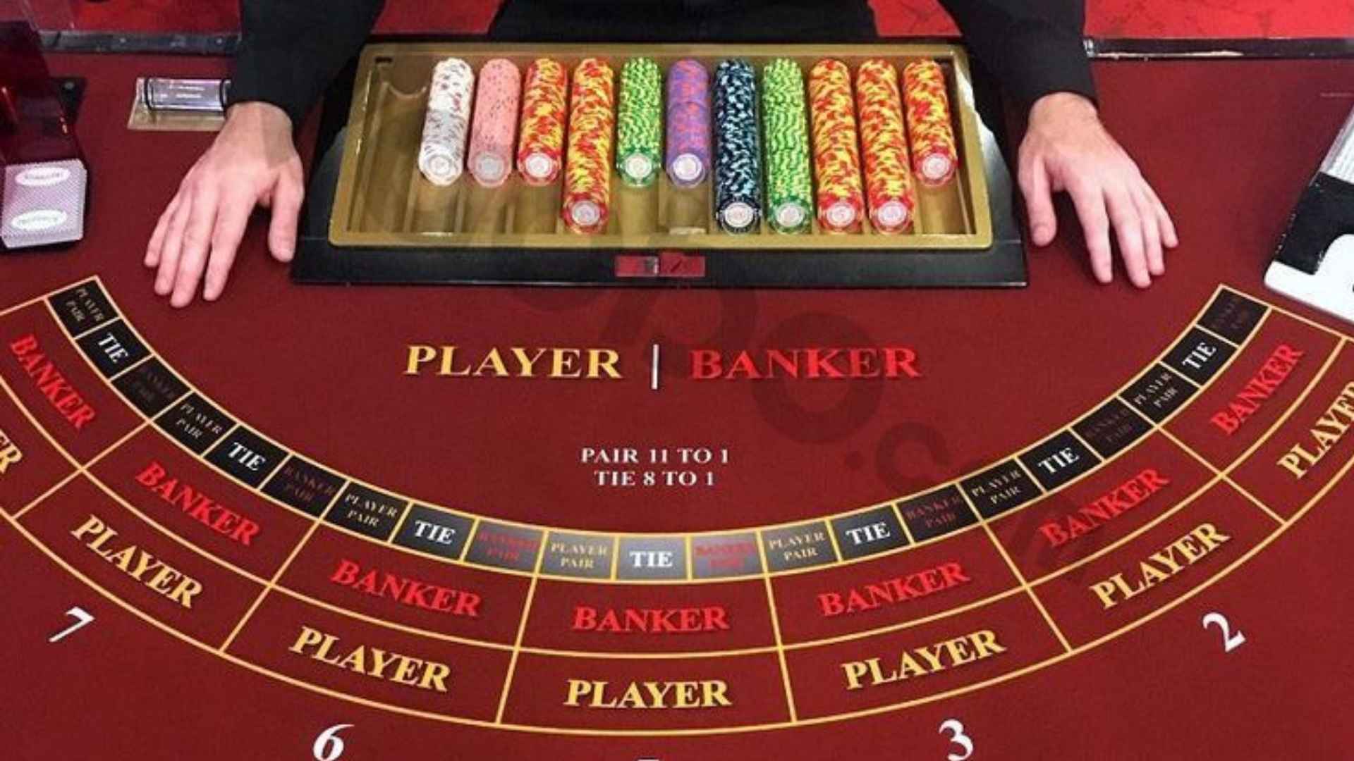 The Language That Turns Curiosity Into Poker Knowledge